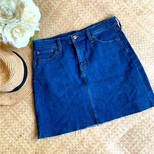 JCrew Denim Skirt